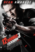 12 раундов 3 / 12 Rounds 3: Lockdown