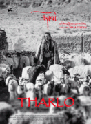 Тарло / Tharlo