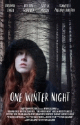 Однажды зимней ночью / One Winter Night