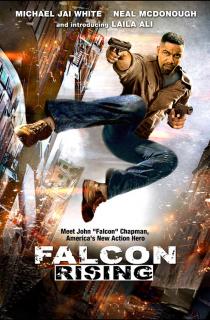 Восхождение Сокола    / Falcon Rising