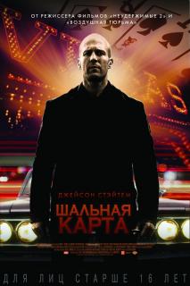 Шальная карта    / Wild Card