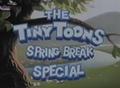 Tiny Toons Spring Break   