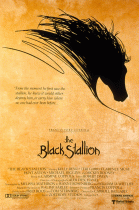 Черный скакун    / The Black Stallion