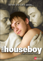 Домашний мальчик    / The Houseboy