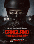 Под прикрытием  / Gangland Undercover